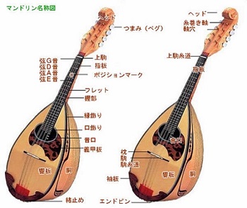 マンドリンの無料査定をお勧めします