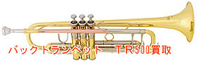 バックトランペットTR500買取