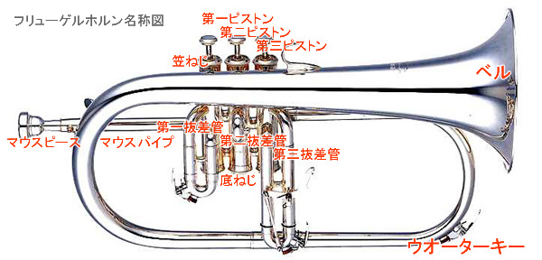 フリューゲルホルンの名称図