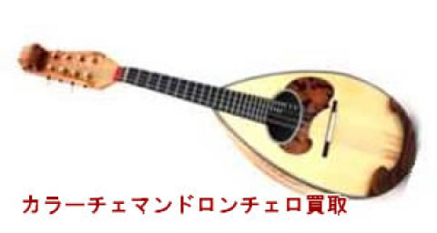 カラーチェマンドロンチェロ買取