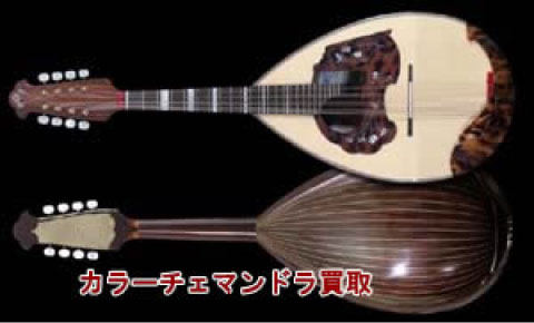カラーチェマンドラ買取り