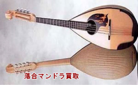 落合マンドラ買取り