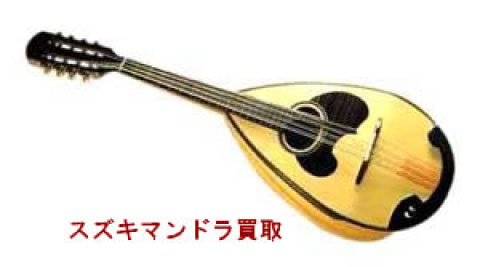 スズキ（鈴木）マンドラ買取り