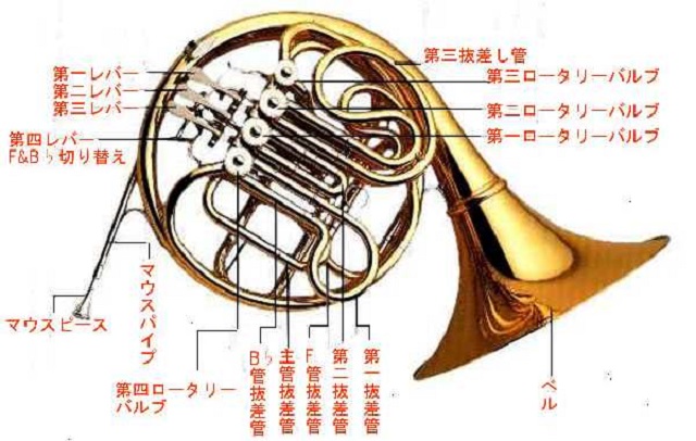 ホルン買取:ホルンを売る前の情報! 必見