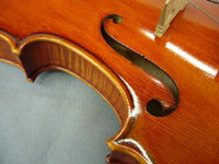 弦楽器のロゴ