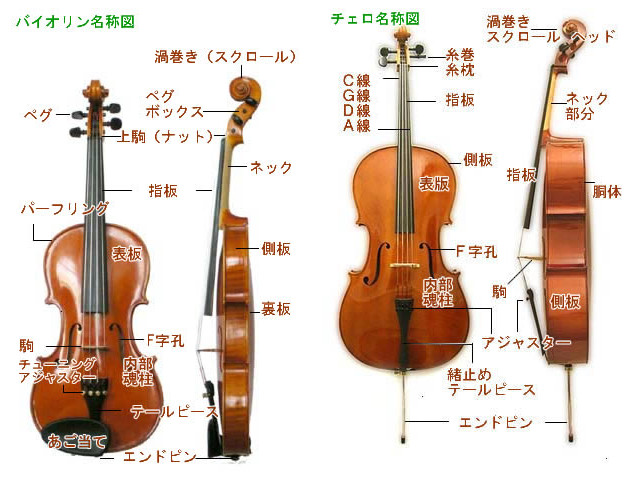 バイオリン チェロ 名称図