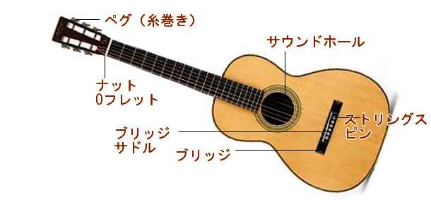 クラシックギター アコーステックギター 名称図