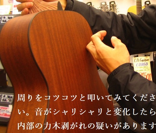 力木の剥がれチェック